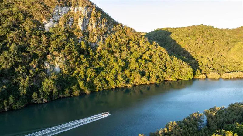 The gorge from above