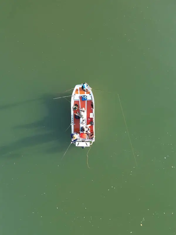 A boat on the green river