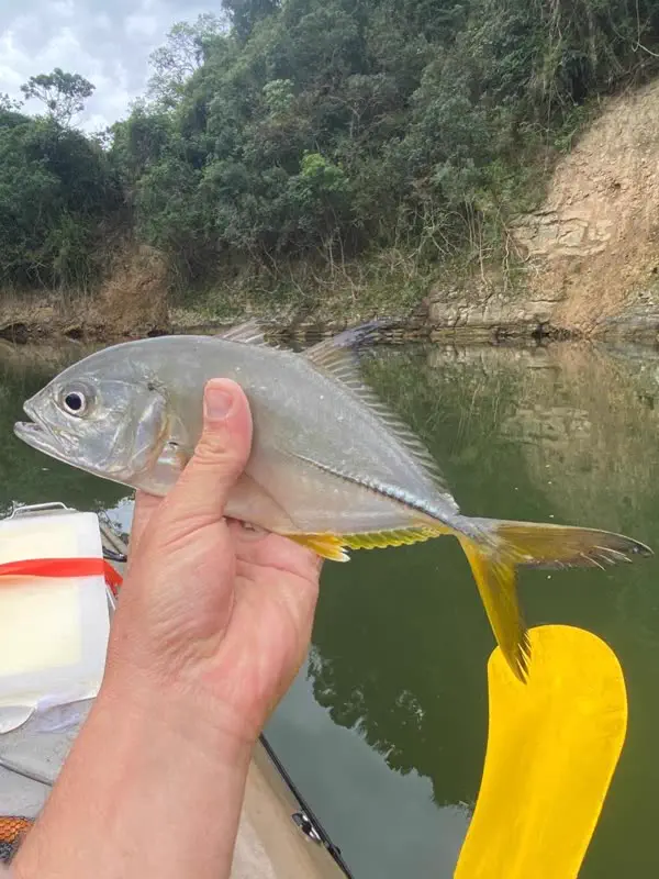 A catch from the kayak