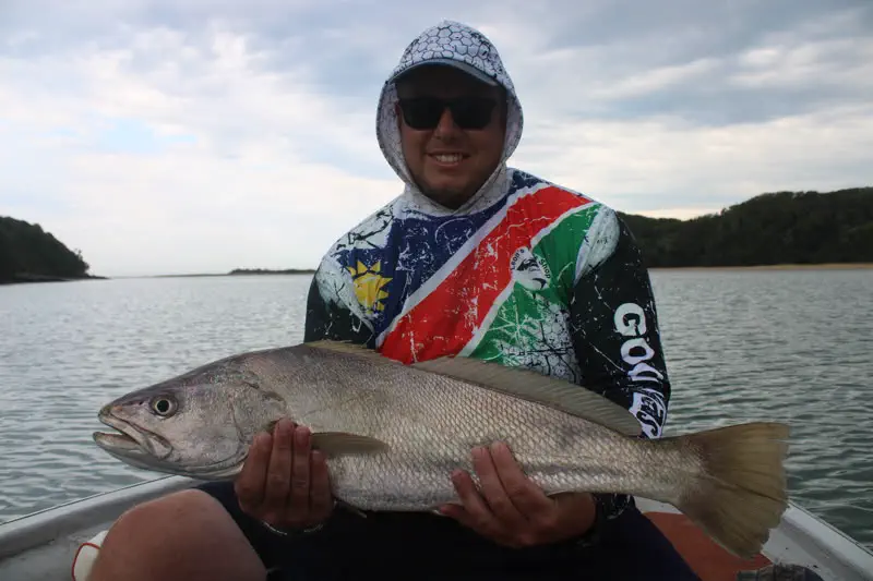 A kob from the boat