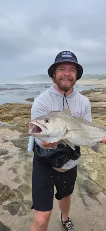 A kob from the rocks