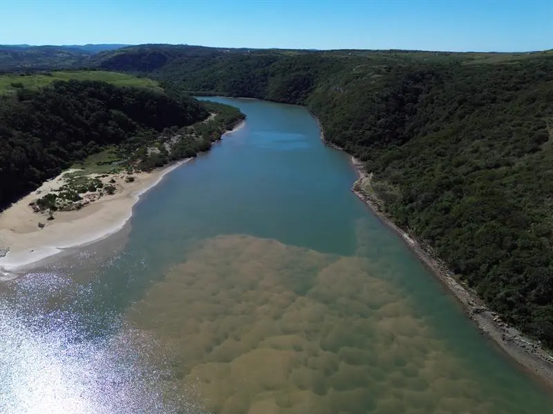 The clear estuary