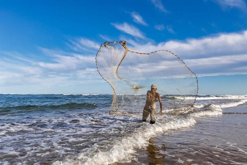 Casting a net in the shallows